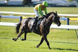 GUNS AT FIVE Rotorua